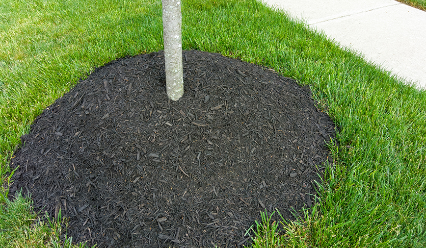 Volcano Mulch