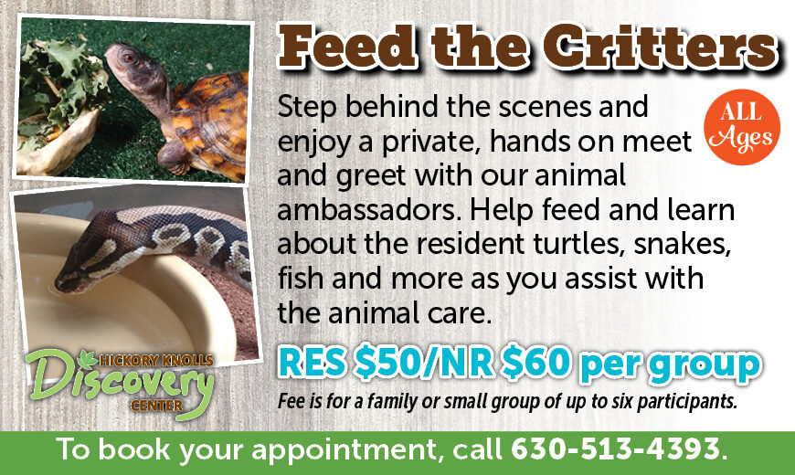 Feed the Critters