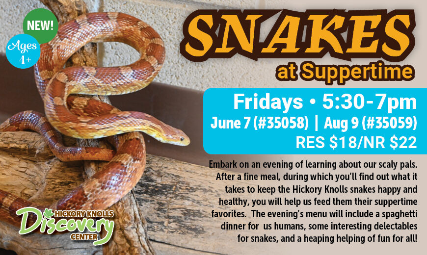 Snakes at Suppertime
