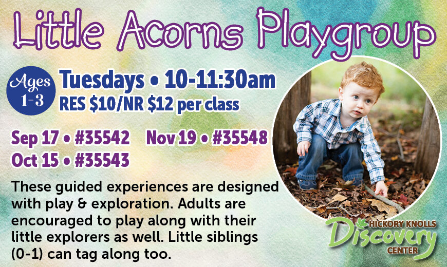 Little Acorns Playgroup