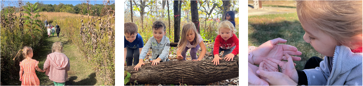 Acorns to Oaks Preschool