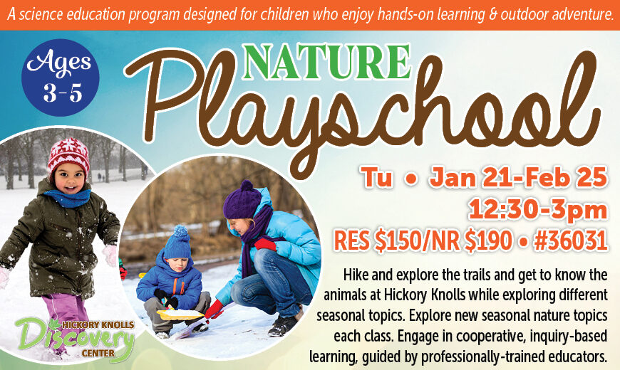 Nature Playschool